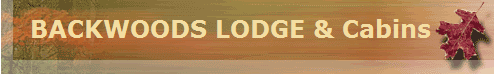 BACKWOODS LODGE & Cabins    